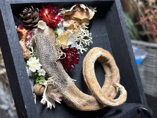 mummified opossum tail floral wooden hanging plaque