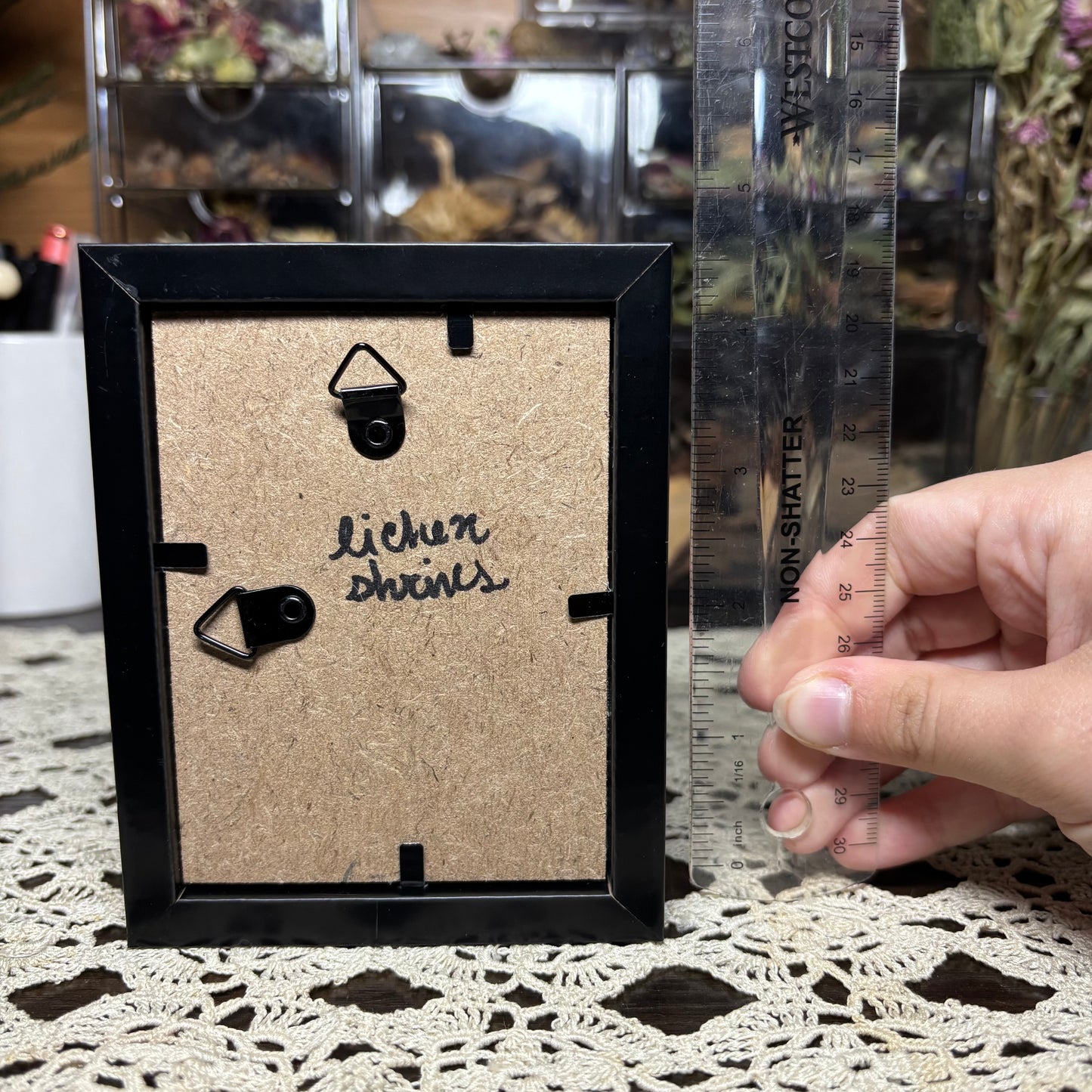 baby nutria & moths frame