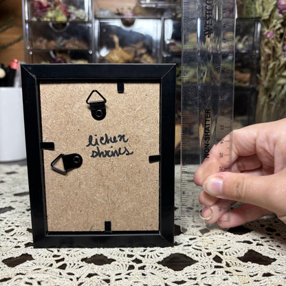 baby nutria & moths frame