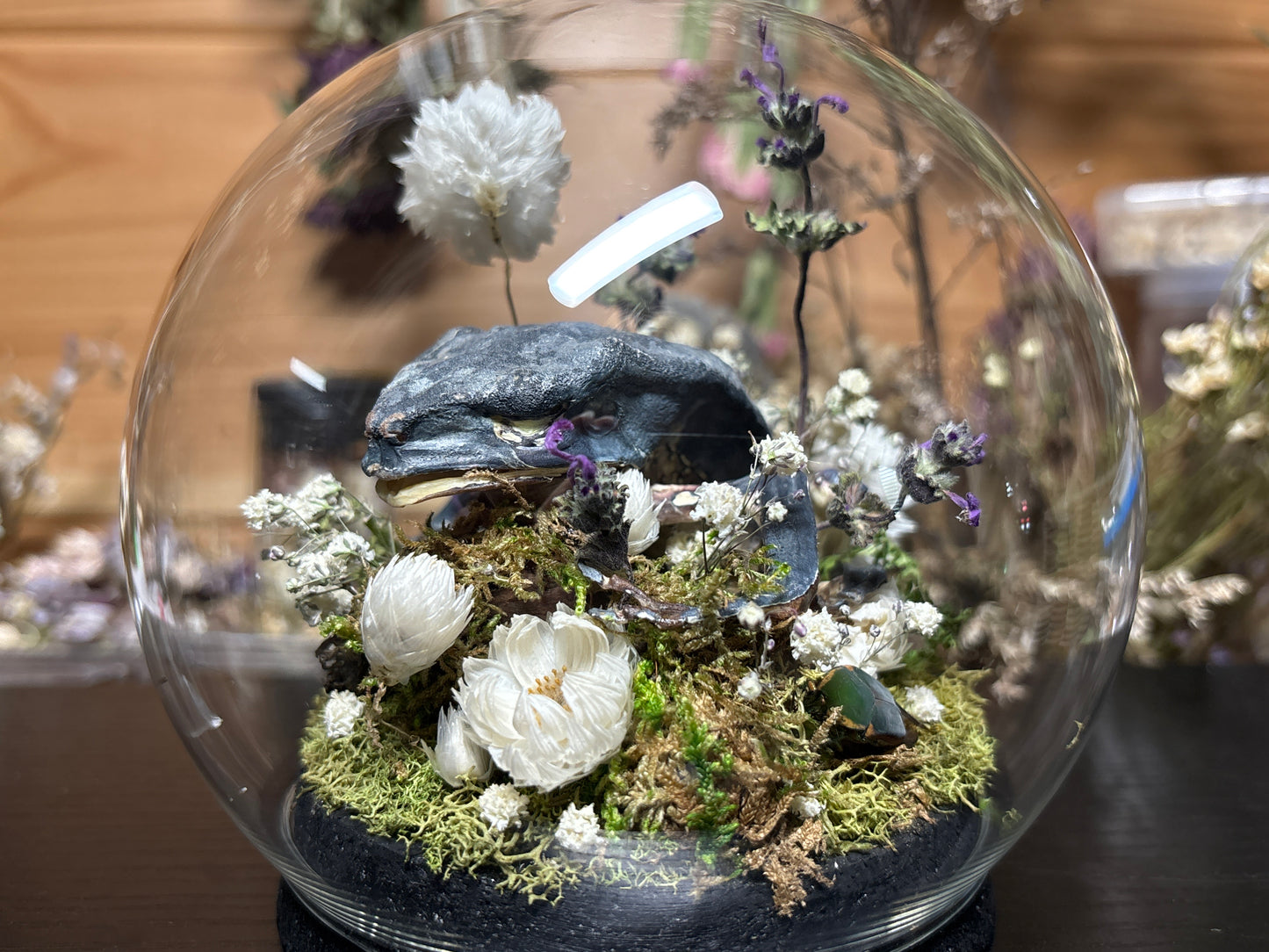 monkey tree frog globe cloche