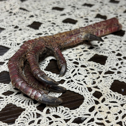 dried turkey foot