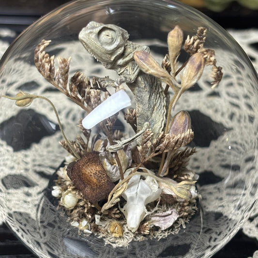baby chameleon with mouse bones globe shrine