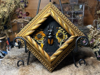 stag beetle vintage frame