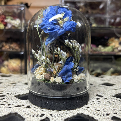 baby chameleon dome shrine