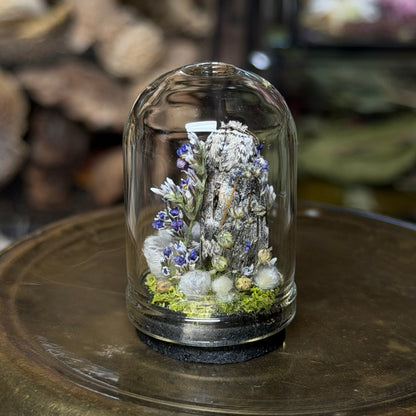 mini insect cloches