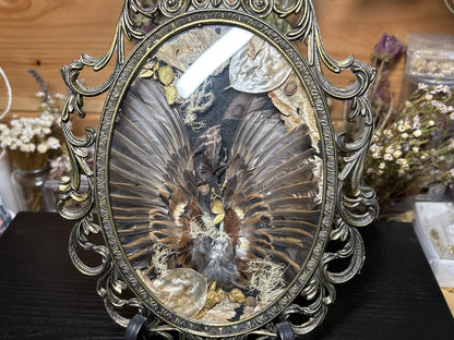 toad & sparrow wings ornate frame