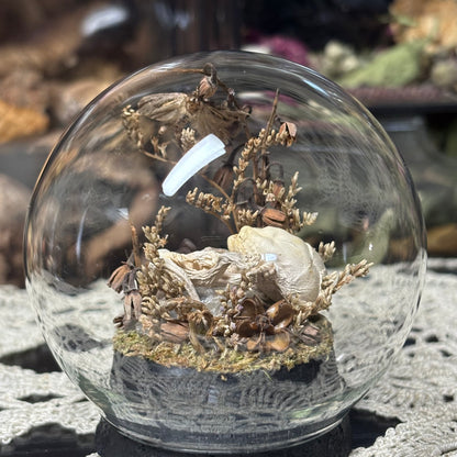 pinky opossum joey globe shrine