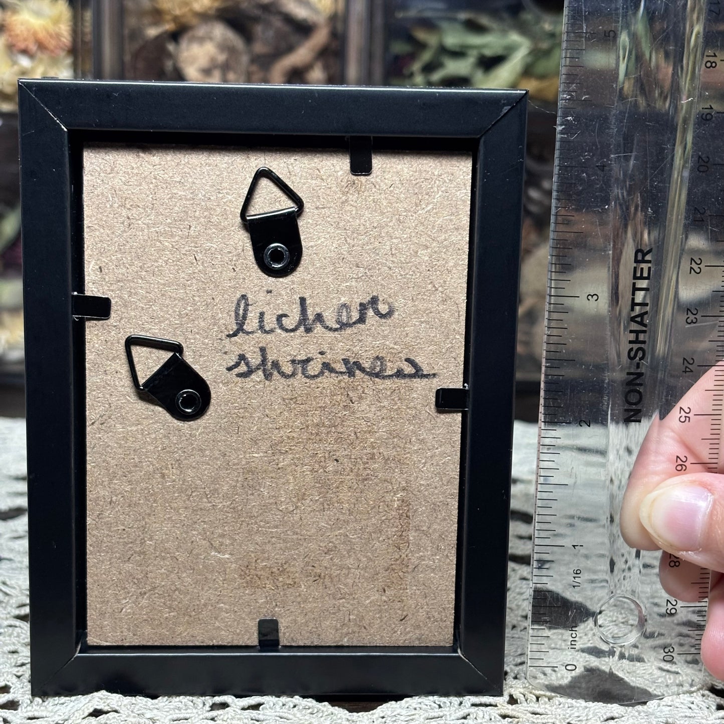 opossum joey & moths frame