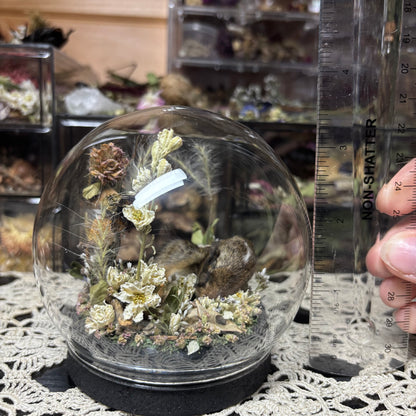 baby cottontail rabbit globe shrine