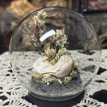 pinky opossum joey globe shrine
