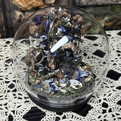 greenbottle blue tarantula globe shrine