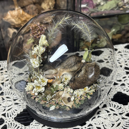 baby cottontail rabbit globe shrine