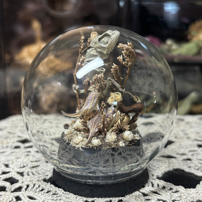 baby chameleon with mouse bones globe shrine