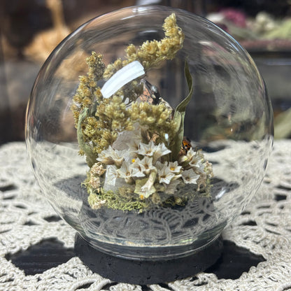 fire-bellied toad globe shrine