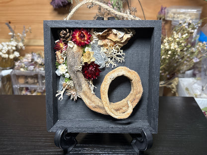 mummified opossum tail floral wooden hanging plaque