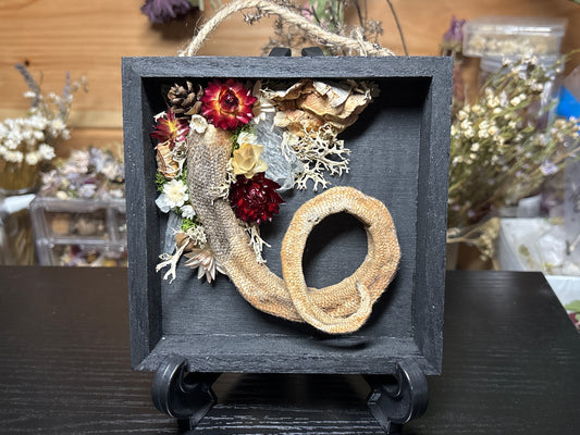 mummified opossum tail floral wooden hanging plaque