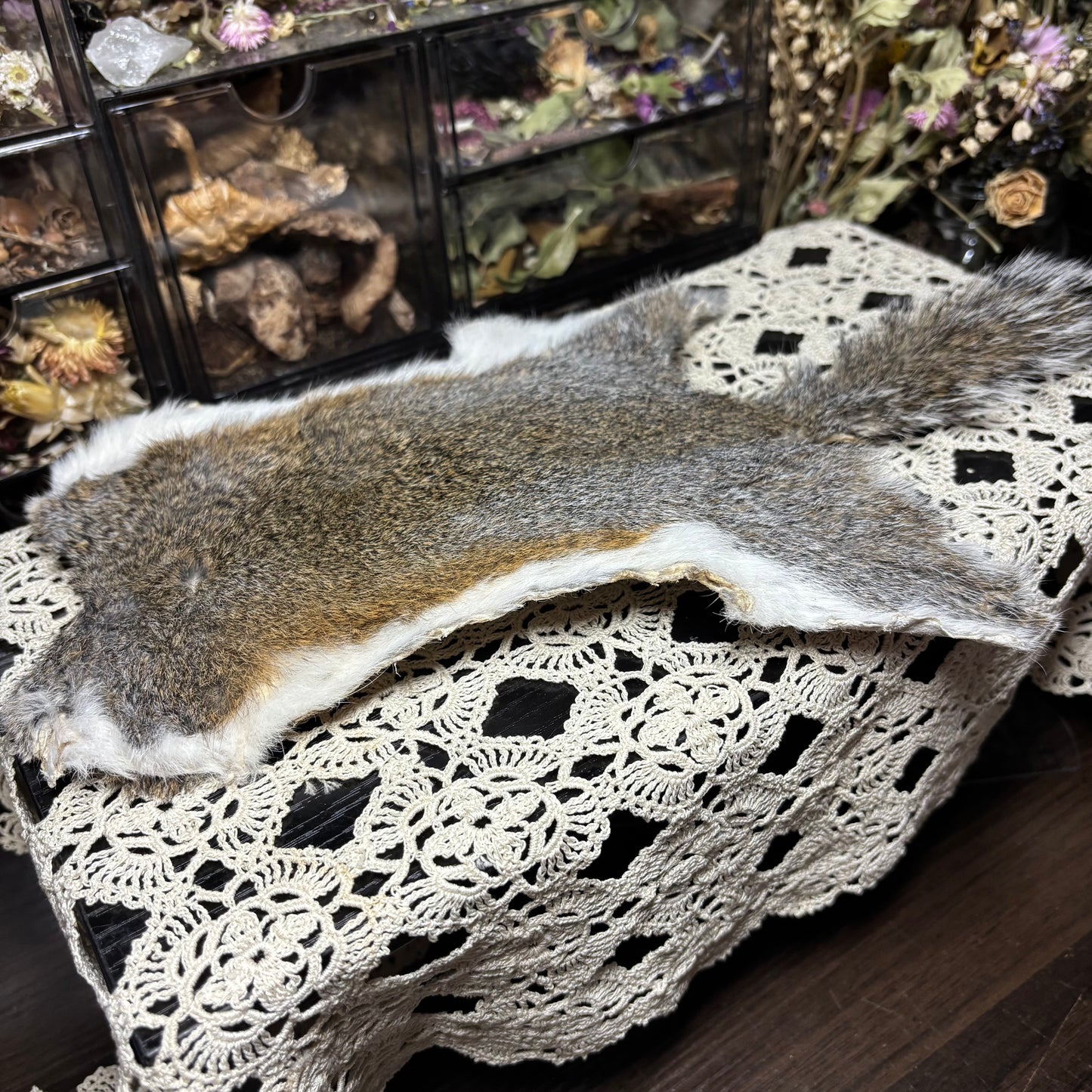 dry tanned gray squirrel pelt