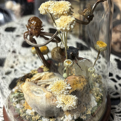 opossum joey dome shrine