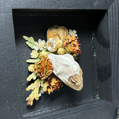 gecko head wood square plaque