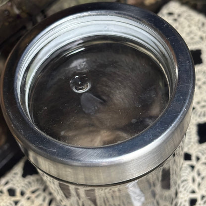 fuzzy baby raccoon wet specimen