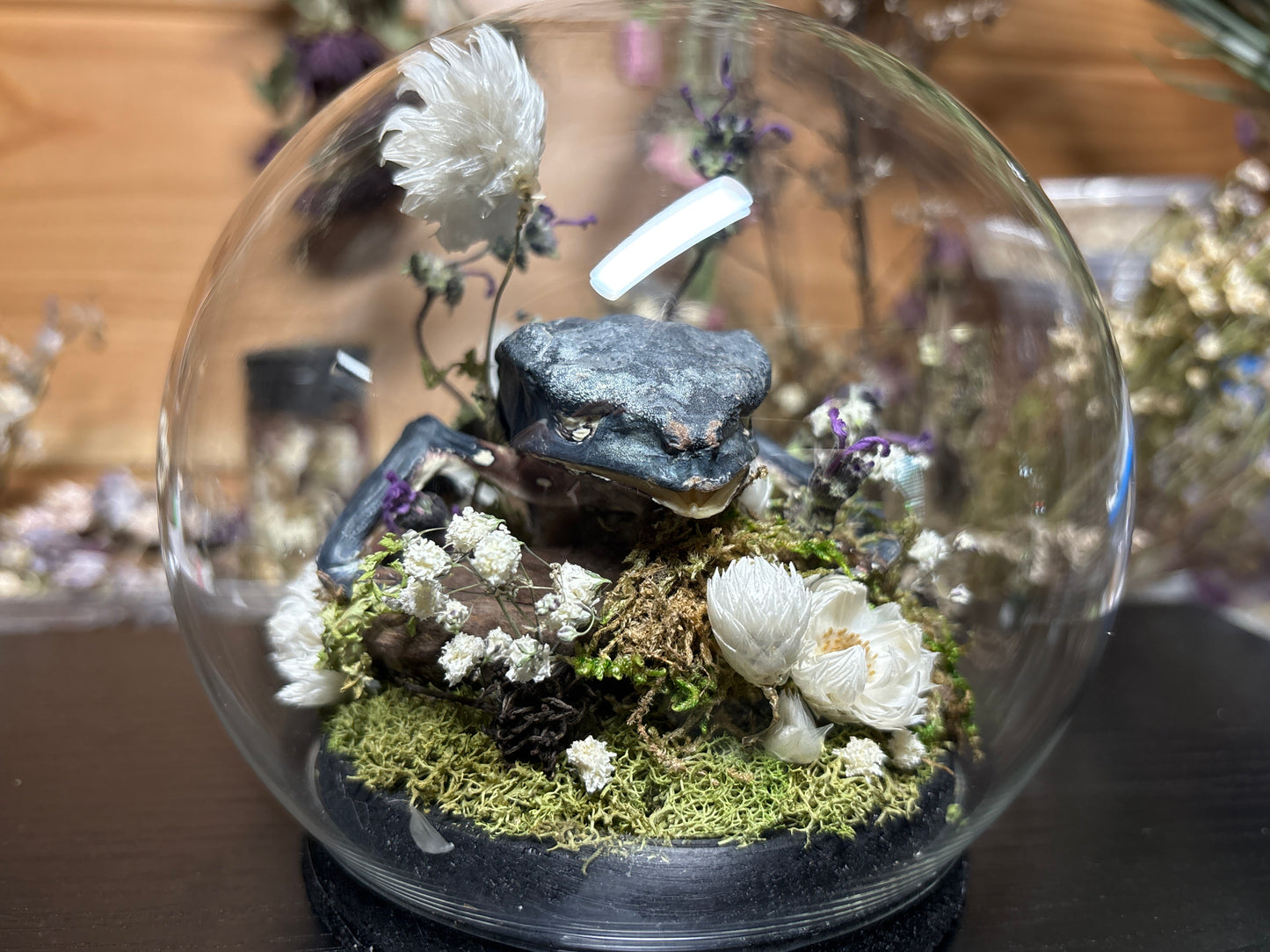 monkey tree frog globe cloche