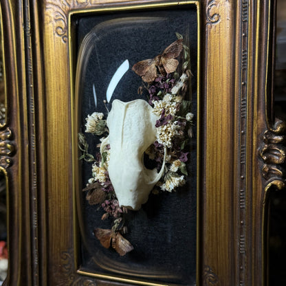 skunk skull vintage frame