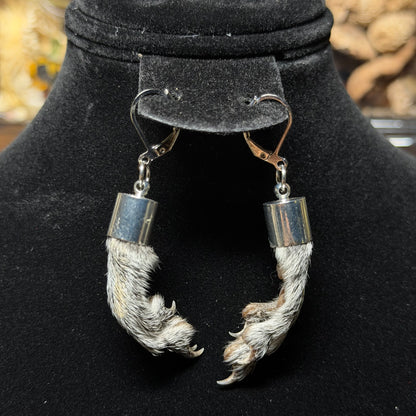 gray squirrel feet earrings