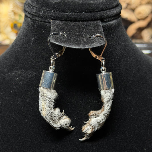 gray squirrel feet earrings