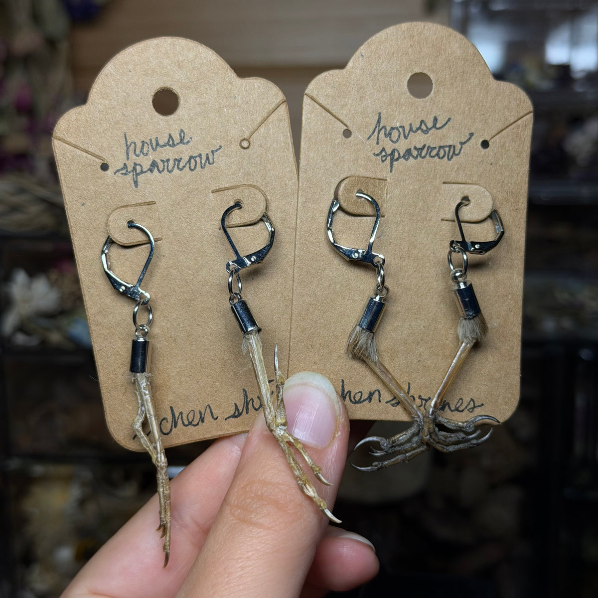 house sparrow feet earrings