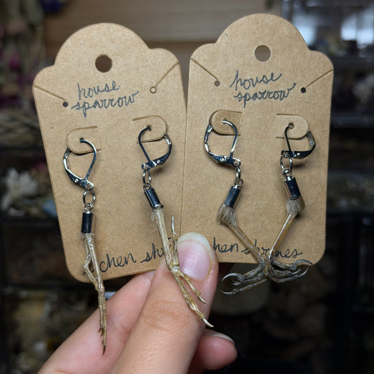 house sparrow feet earrings
