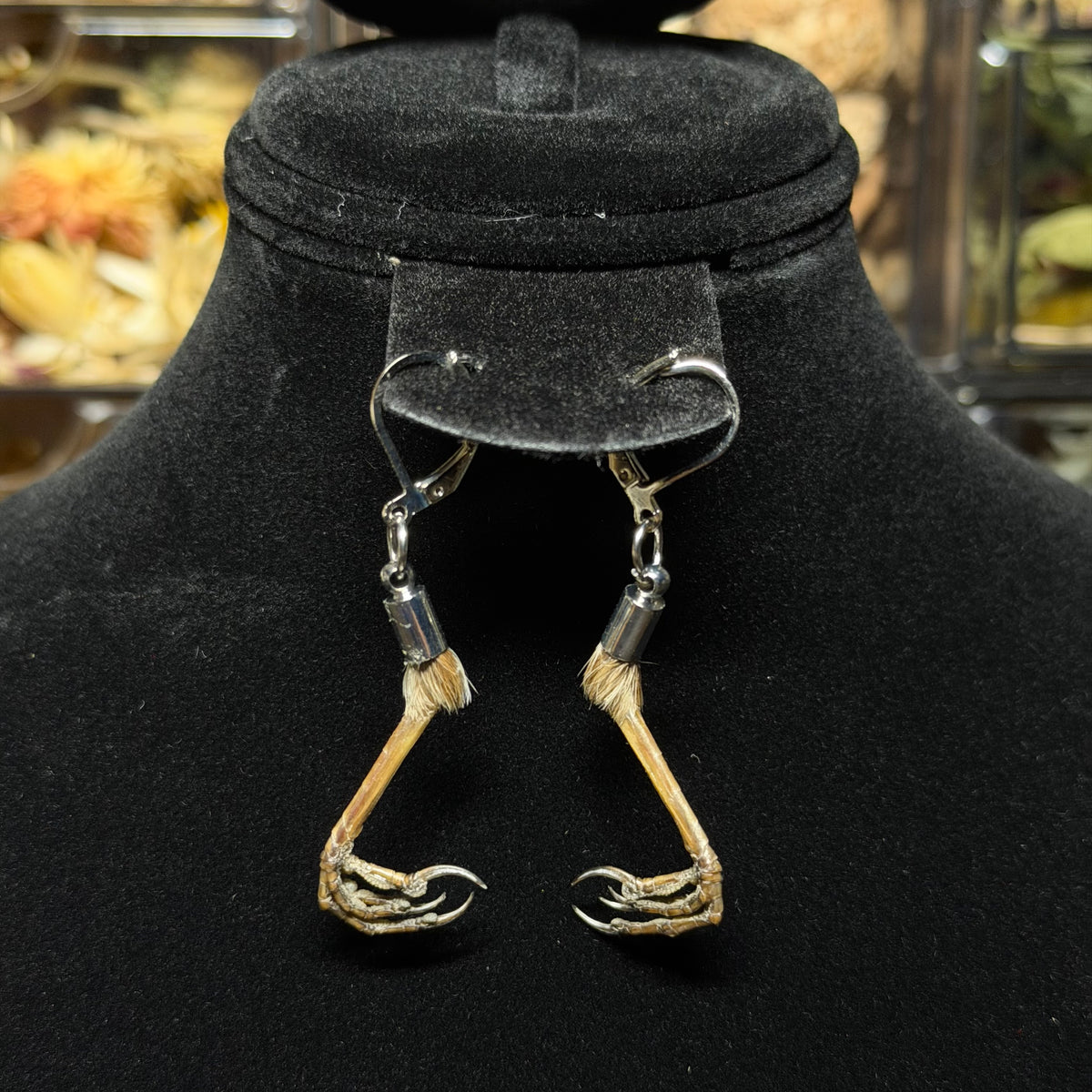 house sparrow feet earrings
