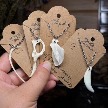 assorted bone necklaces