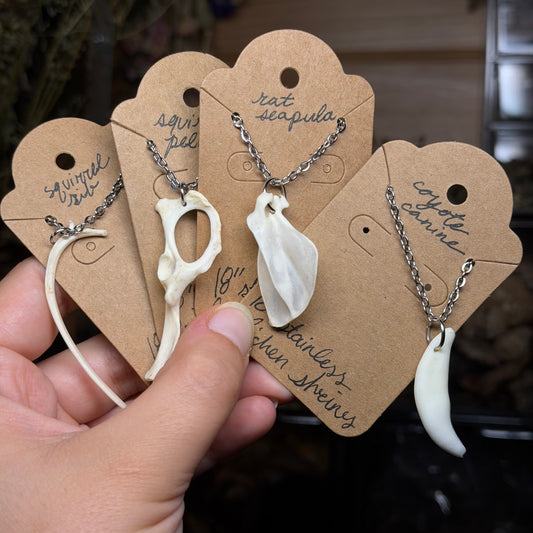 assorted bone necklaces