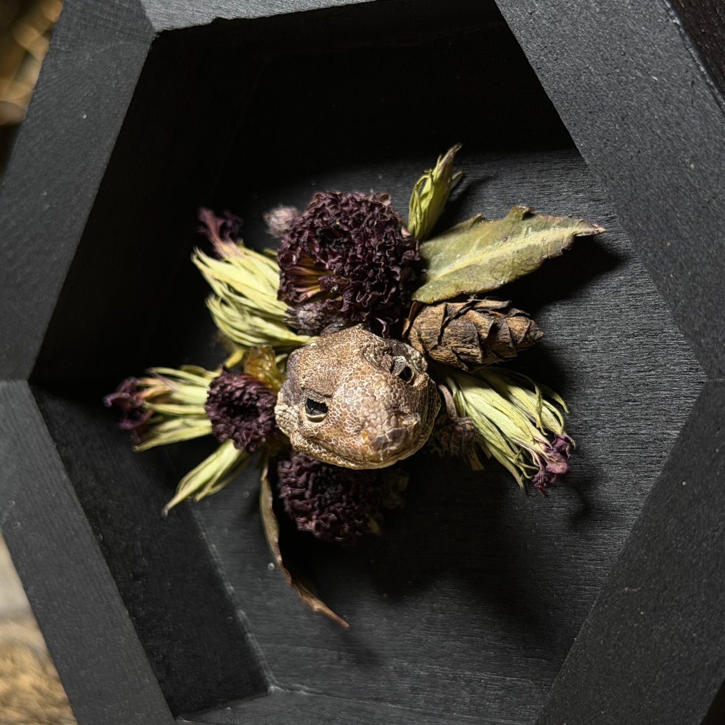 lizard head wood hex plaque