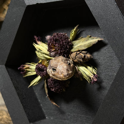 lizard head wood hex plaque