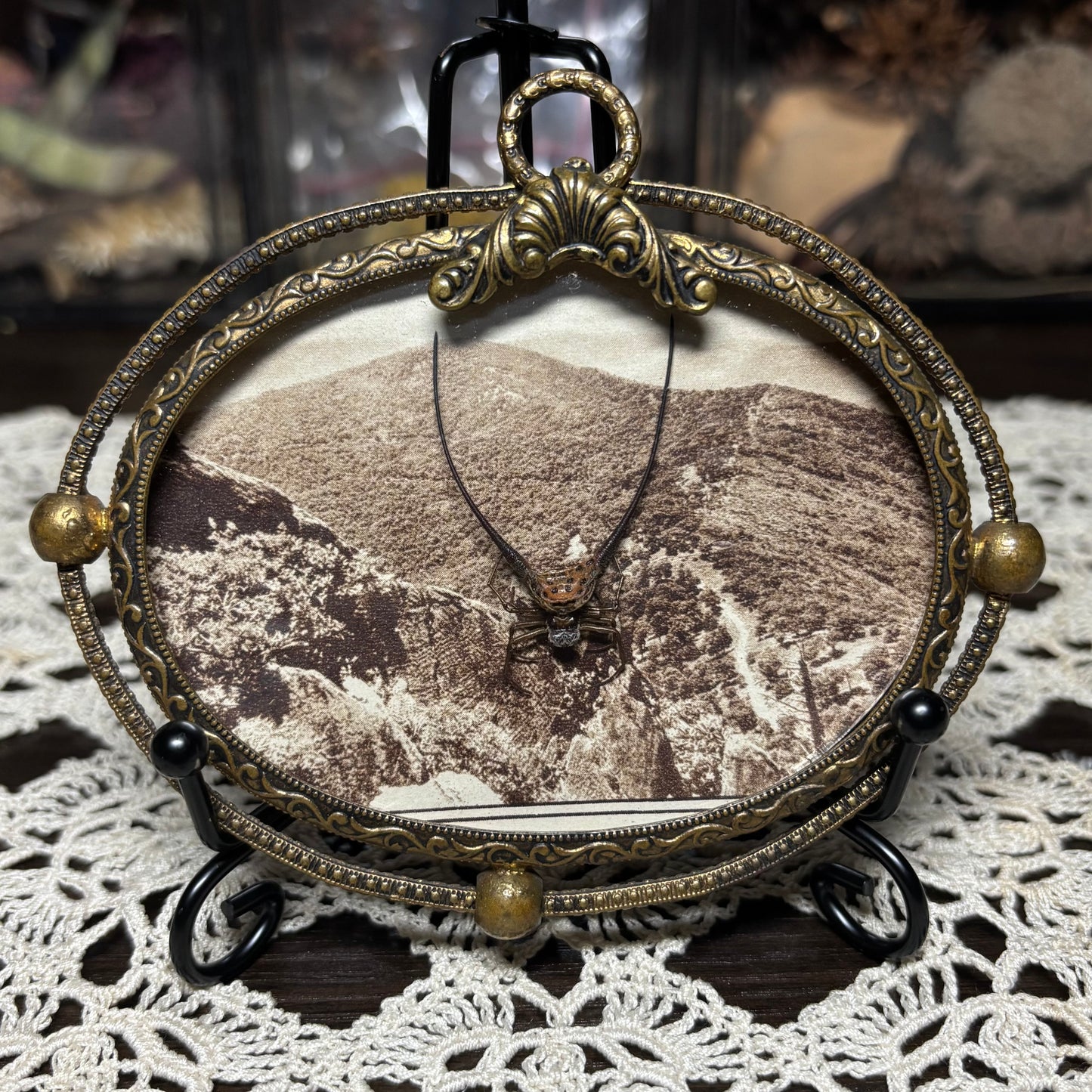 wishbone orb weaver vintage frame