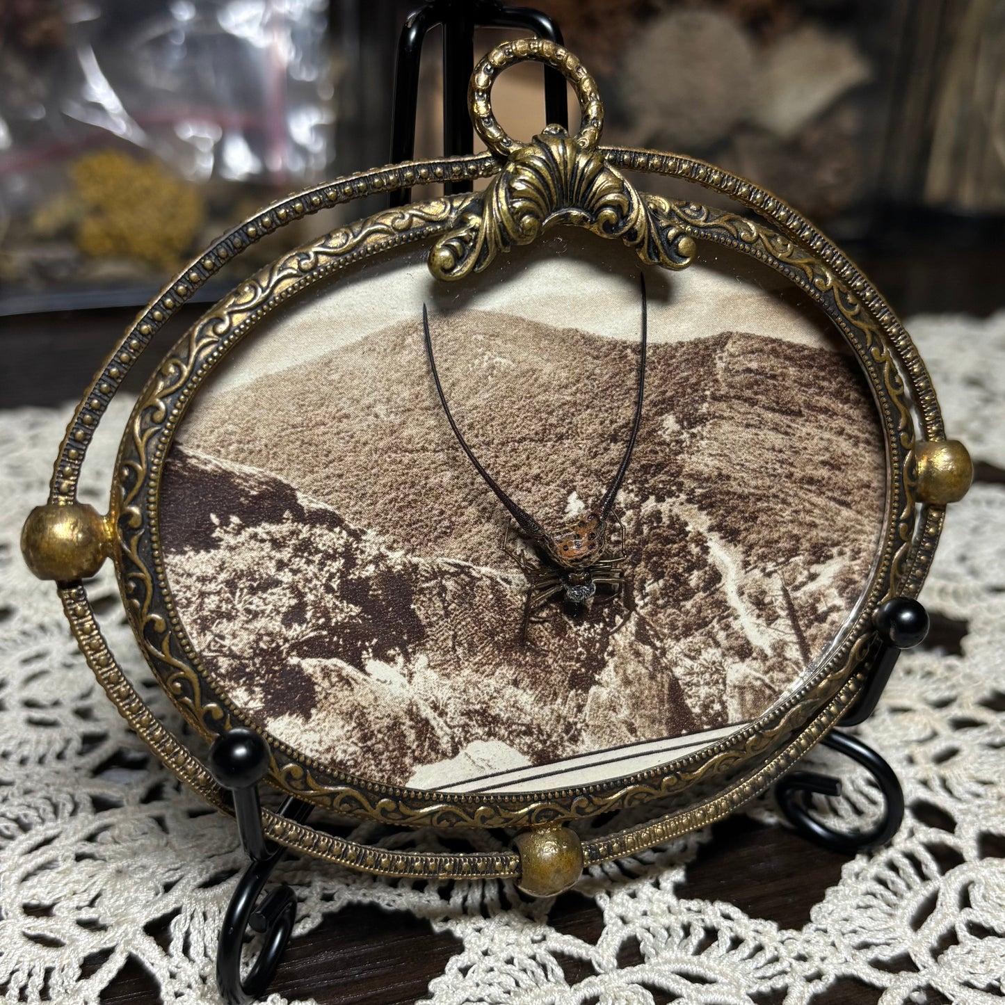 wishbone orb weaver vintage frame