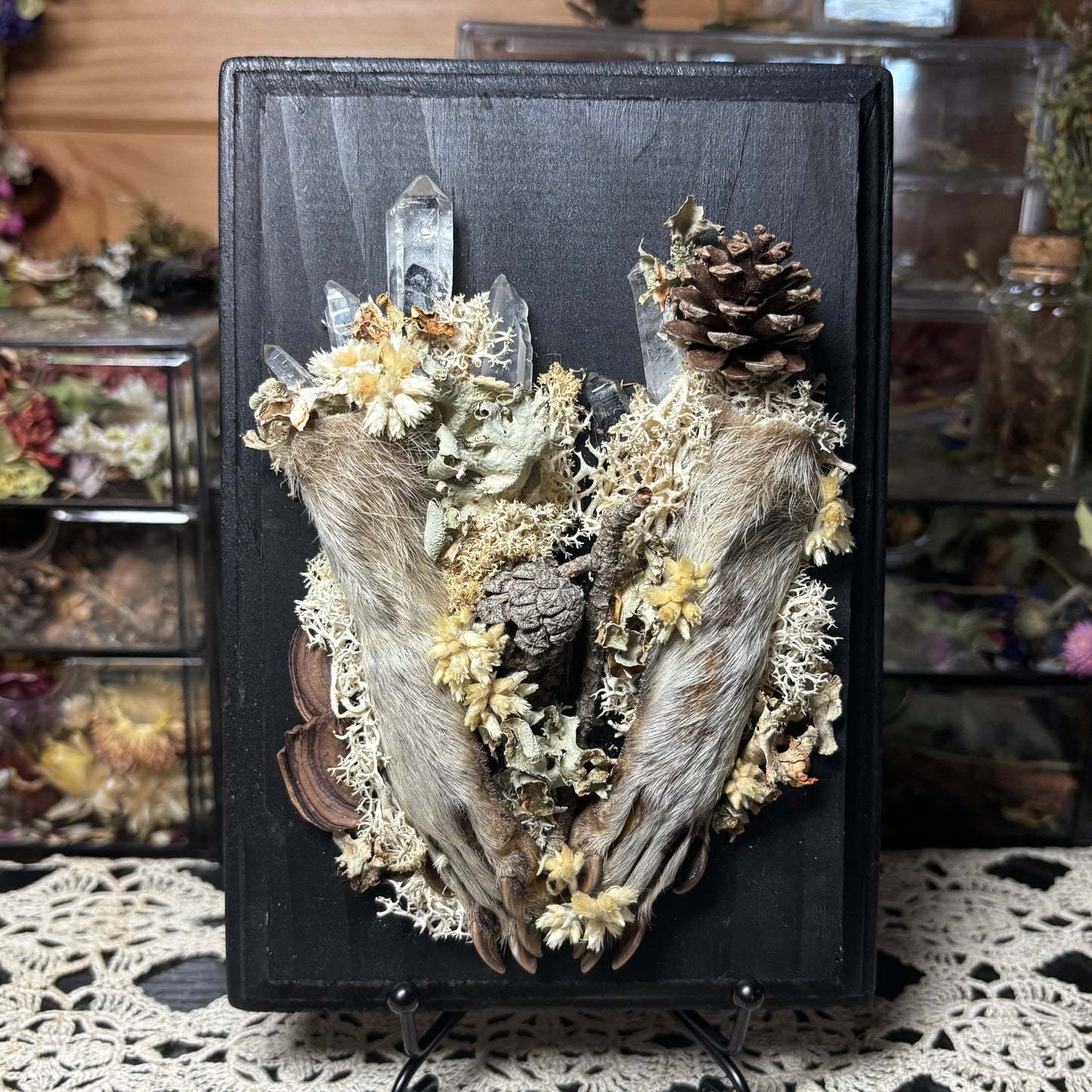 raccoon feet wood plaque