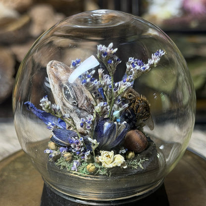 mummified gecko head globe cloche
