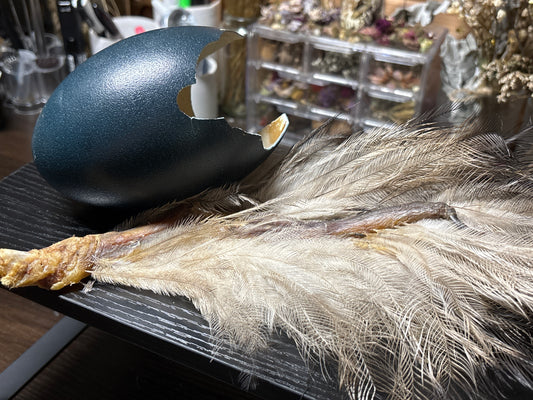 emu parts bundle