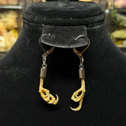parakeet feet earrings