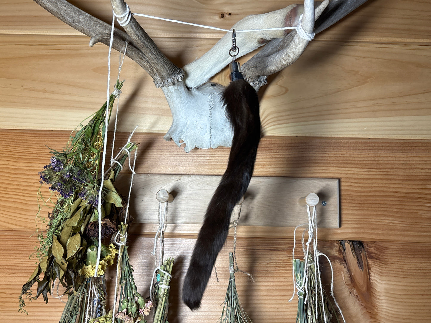 feral cat tail keychains