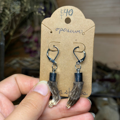 baby opossum paw earrings