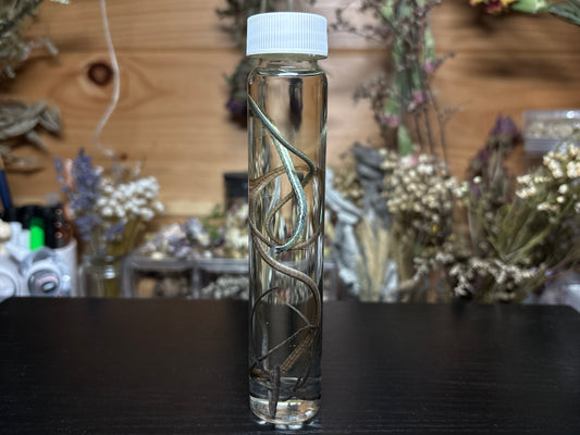 reptile tail collection wet specimen