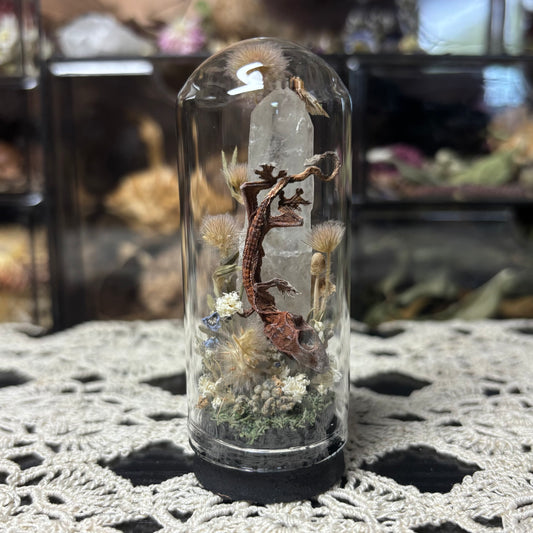 baby crested gecko dome shrine