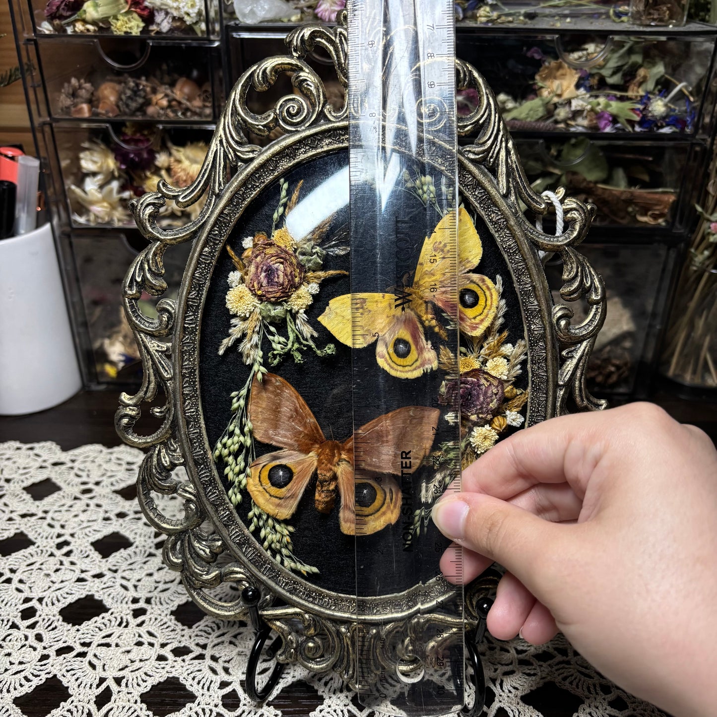 pair of io moths vintage frame