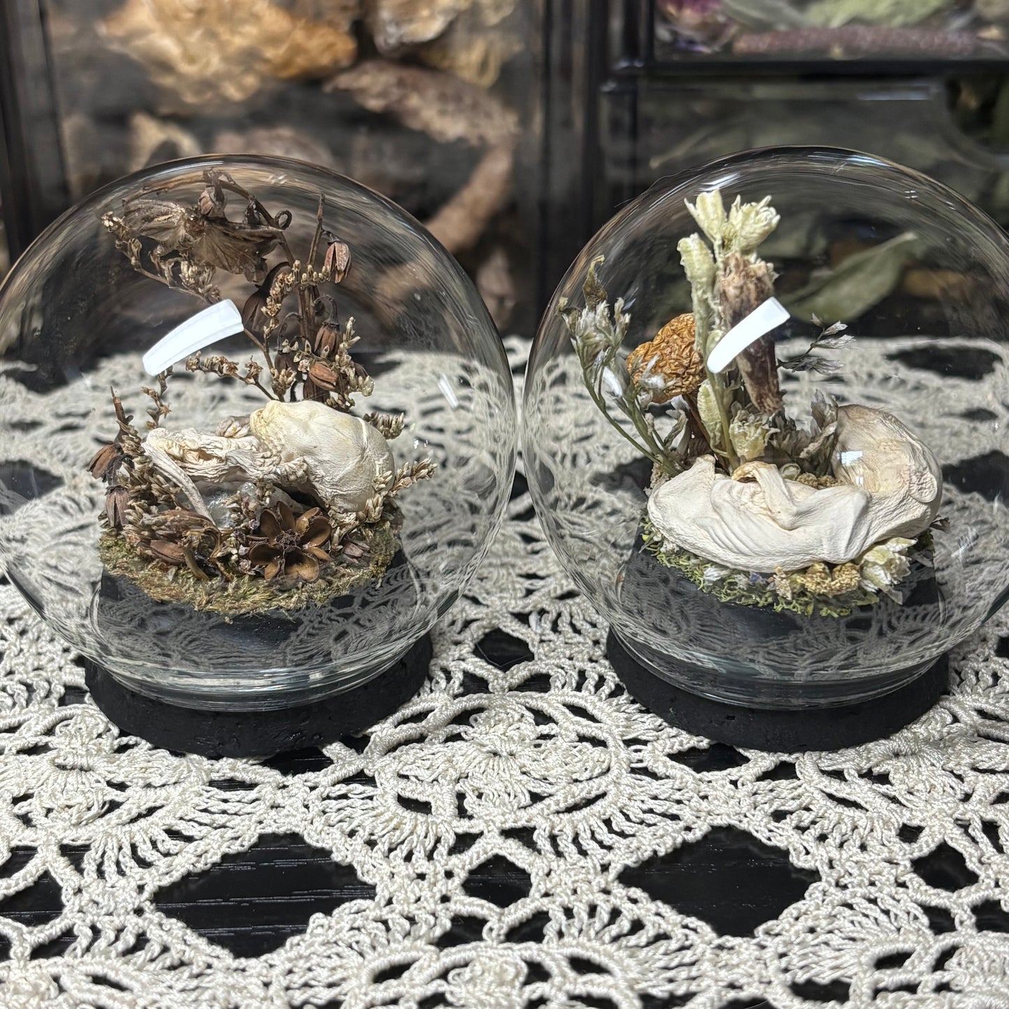 pinky opossum joey globe shrine