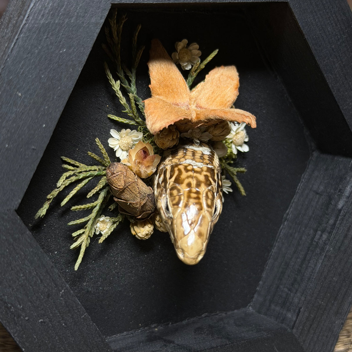 lizard head wood hex plaque