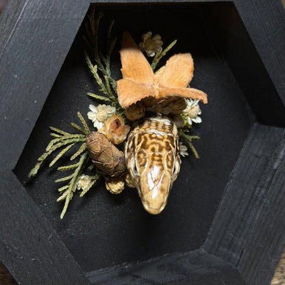 lizard head wood hex plaque