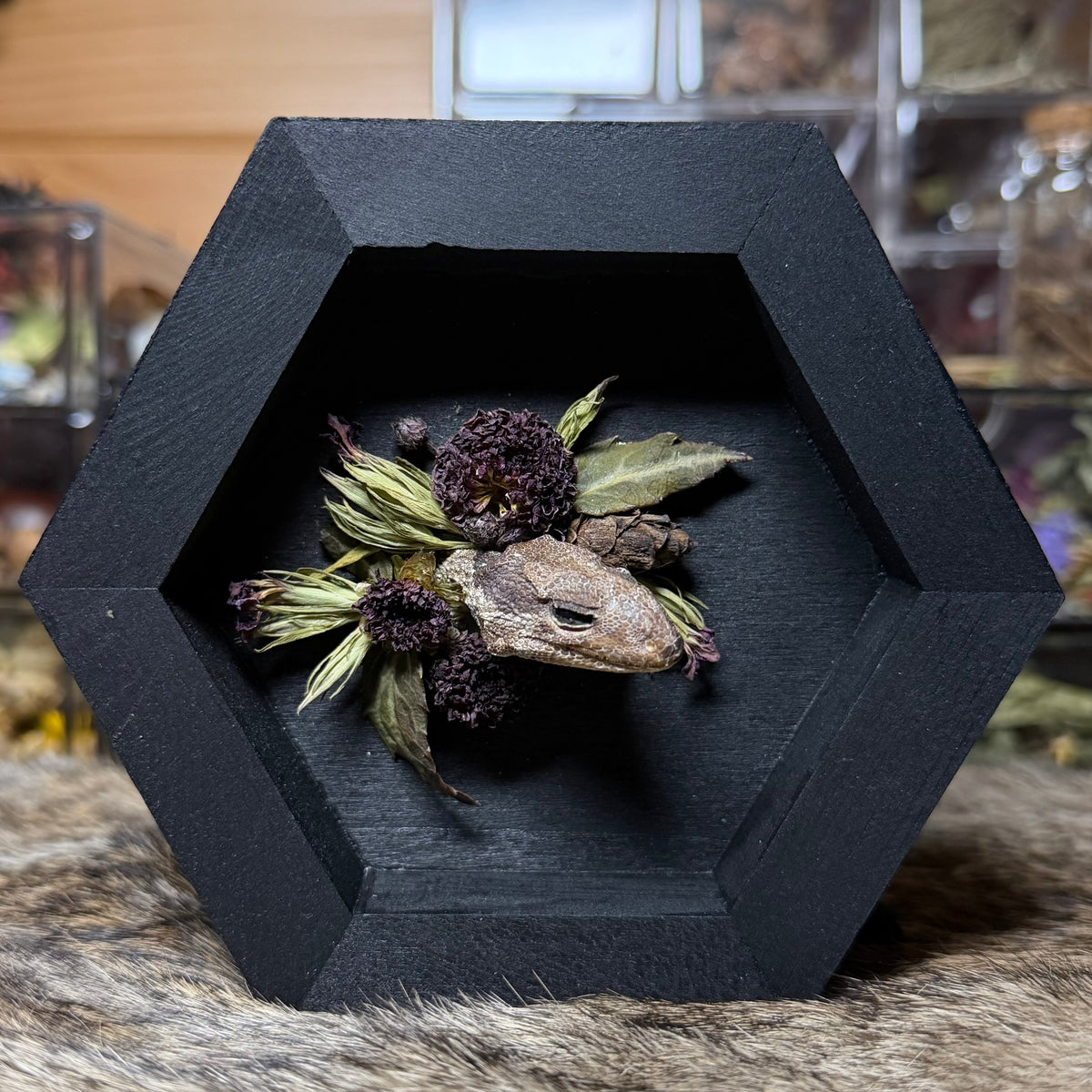 lizard head wood hex plaque